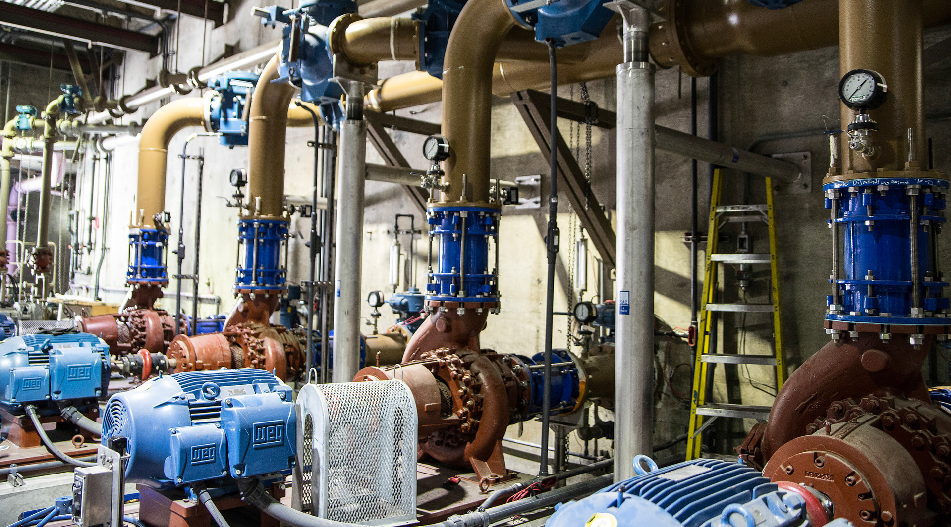 progress photography and 3D scan